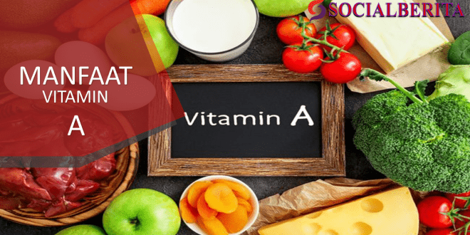 Fungsi Vitamin A Bagi Kesehatan Tubuh