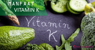 Fungsi Vitamin K Bagi Kesehatan Tubuh