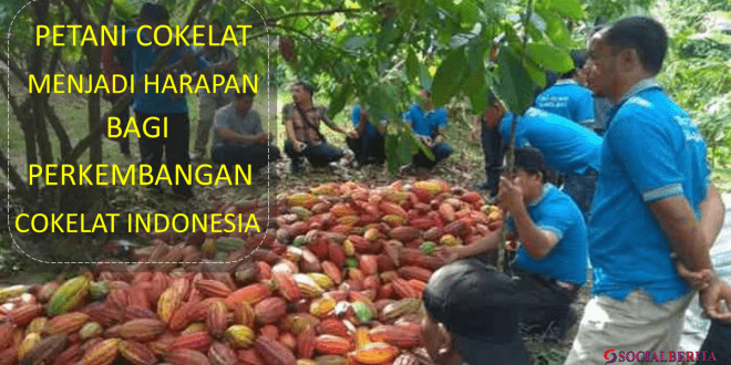Petani cokelat menjadi harapan bagi perkembangan cokelat Indonesia