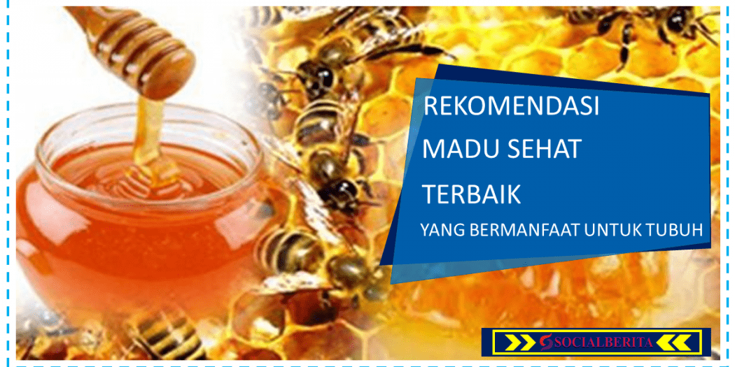 Rekomendasi Madu Sehat Terbaik Yang Bermanfaat Untuk Tubuh