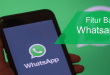 Fitur Baru Whatsapp dan Cara Menggunakannya