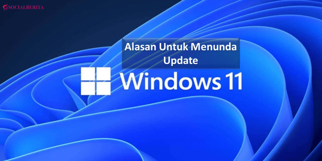 Ini Alasannya untuk Menunda Update Windows 11