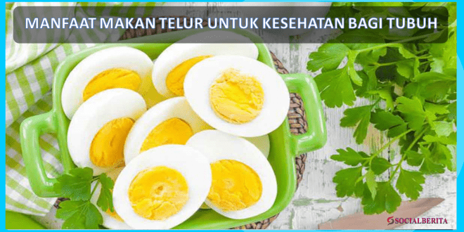 Manfaat Makan Telur Untuk Kesehatan Bagi Tubuh