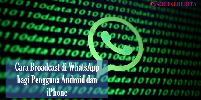 Cara Broadcast di WhatsApp bagi Pengguna Android dan iPhone